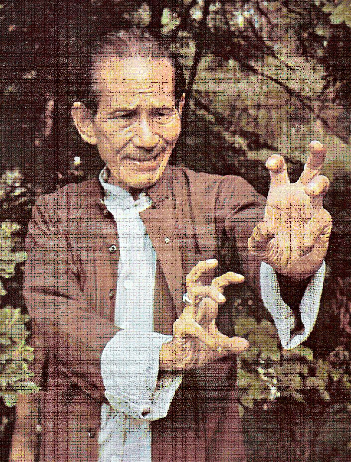 Grandmaster Yuen Yik Kai